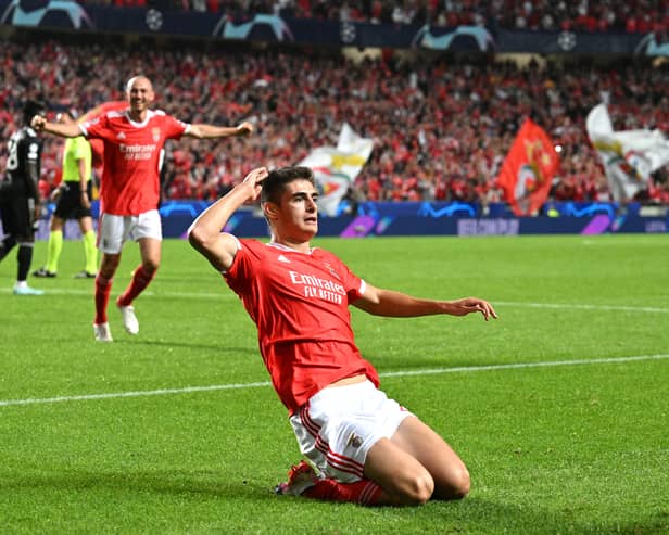 Newcastle are linked with Benfica star Antonio Silva. (Getty Images)
