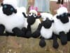 Calling all knitters! Newcastle charity ask for help in creating Shaun the Sheep toys