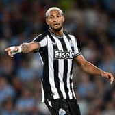 Newcastle United midfielder Joelinton. (Photo by Michael Regan/Getty Images)