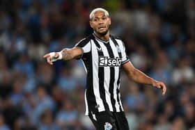 Newcastle United midfielder Joelinton. (Photo by Michael Regan/Getty Images)