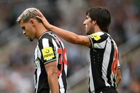 Newcastle United midfield duo Bruno Guimaraes (left) and Sandro Tonali (right). (Photo by Stu Forster/Getty Images)