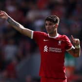Liverpool midfielder Dominik Szoboszlai.  (Photo by George Wood/Getty Images)