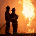 11 pet dogs were killed in a fire at private dog kennels in Staffordshire, the police said.