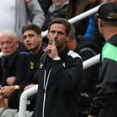 Newcastle United assistant manager Jason Tindal gestures during the Premier League match between Newcastle United and Liverpool FC at St. James Park on August 27, 2023 in Newcastle upon Tyne, England. (Photo by Ian MacNicol/Getty Images)