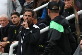 Newcastle United assistant manager Jason Tindal gestures during the Premier League match between Newcastle United and Liverpool FC at St. James Park on August 27, 2023 in Newcastle upon Tyne, England. (Photo by Ian MacNicol/Getty Images)