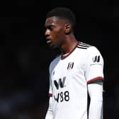 Fulham defender Tosin Adarabioyo would be a good signing for Newcastle United. (Photo by Julian Finney/Getty Images)