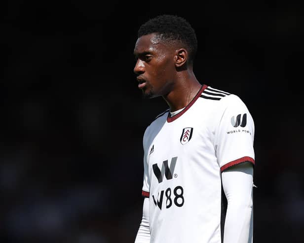Fulham defender Tosin Adarabioyo would be a good signing for Newcastle United. (Photo by Julian Finney/Getty Images)