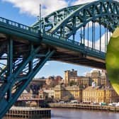 Newcastle came second on the list of ‘dog-obsessed’ cities.