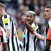 Newcastle United midfielder Joelinton (middle) and defender Sven Botman (right). (Photo by Alex Livesey/Getty Images)