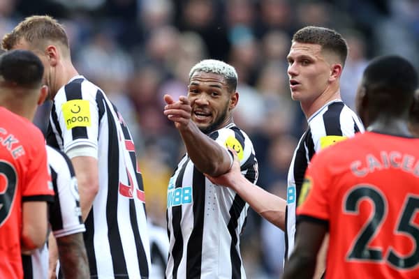 Newcastle United midfielder Joelinton (middle) and defender Sven Botman (right). (Photo by Alex Livesey/Getty Images)