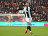 Newcastle United outcast praised as Sheffield Wednesday debut draws near