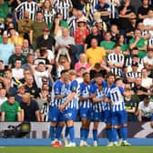 Newcastle United v Brighton player ratings as Magpies suffer 3-1 defeat.  (Photo by Alex Broadway/Getty Images)