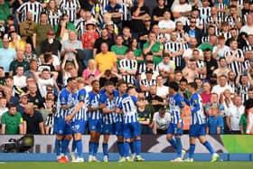 Newcastle United v Brighton player ratings as Magpies suffer 3-1 defeat.  (Photo by Alex Broadway/Getty Images)
