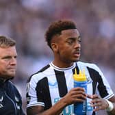 Newcastle United midfielder Joe Willock (right).  (Photo by Stu Forster/Getty Images)