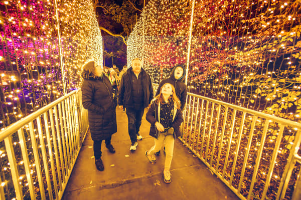 Northern Lights Newcastle will be held this winter.
