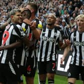 Louis Saha thinks Newcastle United will bounce back in the Champions League (Image: Getty Images)