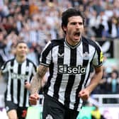 Newcastle United midfielder Sandro Tonali. (Photo by George Wood/Getty Images)