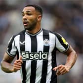 Newcastle United striker Callum Wilson. (Photo by George Wood/Getty Images)