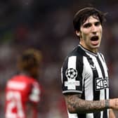 Newcastle United midfielder Sandro Tonali. (Photo by Marco Luzzani/Getty Images)