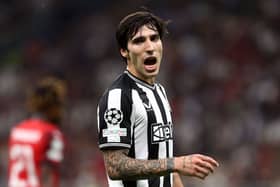 Newcastle United midfielder Sandro Tonali. (Photo by Marco Luzzani/Getty Images)