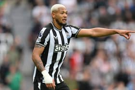 Newcastle United midfielder Joelinton. (Photo by Stu Forster/Getty Images)