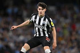 Newcastle United full-back Tino Livramento. (Photo by Stu Forster/Getty Images)