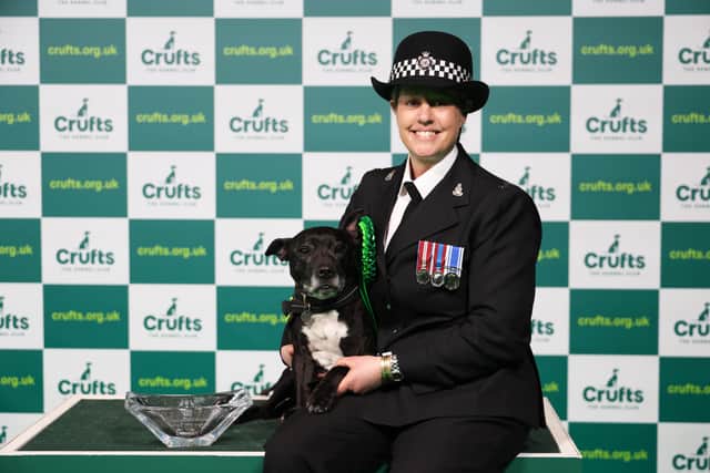PC Claire Todd with Stella, a Staffordshire Bull Terrier who won Hero Dog of the Year today (Sunday 12.03.23), the last day of Crufts 2023, at the NEC Birmingham. (BeatMedia)