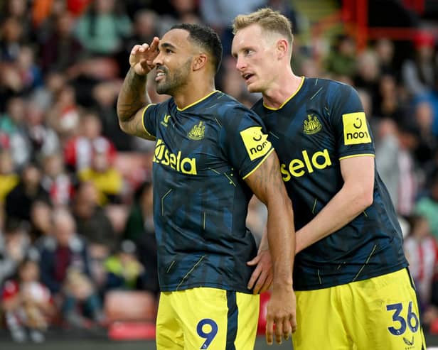 Callum Wilson of Newcastle United celebrates after scoring the team's fourth goal during the Premier League match between Sheffield United and Newcastle United at Bramall Lane on September 24, 2023 in Sheffield, England. (Photo by Michael Regan/Getty Images)