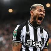 Joelinton of Newcastle United celebrates after Alexander Isak (not pictured) scores the team’s first goal during the Carabao Cup Third Round match between Newcastle United and Manchester Cityat St James’ Park on September 27, 2023 in Newcastle upon Tyne, England. (Photo by Stu Forster/Getty Images)