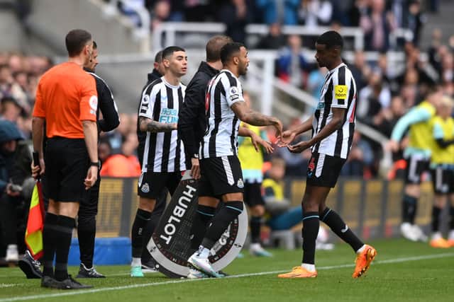 Callum Wilson replaces Alexander Isak of Newcastle United during the Premier League match between Newcastle United and Tottenham Hotspur at St. James Park on April 23, 2023 in Newcastle upon Tyne, England. (Photo by Stu Forster/Getty Images)