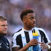 Newcastle United midfielder Joe Willock. (Photo by Stu Forster/Getty Images)