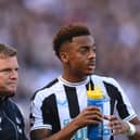 Newcastle United midfielder Joe Willock. (Photo by Stu Forster/Getty Images)