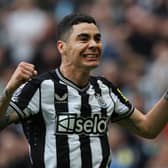 Newcastle United winger Miguel Almiron. (Photo by Ian MacNicol/Getty Images)