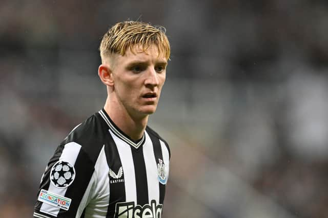 Newcastle United winger Anthony Gordon.  (Photo by Michael Regan/Getty Images)