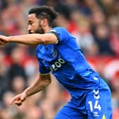 Former Newcastle United winger Andros Townsend.  (Photo by Clive Mason/Getty Images)