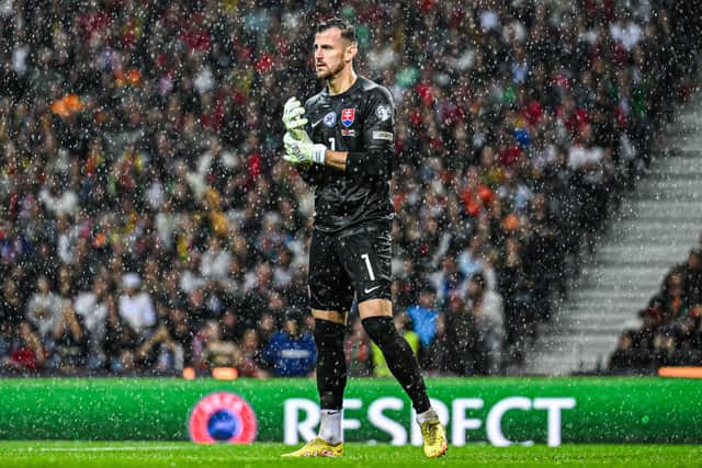 Newcastle United goalkeeper Martin Dubravka. . (Photo by Octavio Passos/Getty Images)
