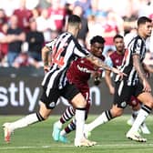 Newcastle United midfielder Bruno Guimaraes. (Photo by HENRY NICHOLLS/AFP via Getty Images)
