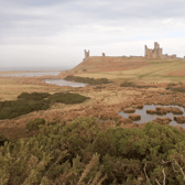 Dunstanburgh Castle, Northumberland (Northumberland and Newcastle Society)