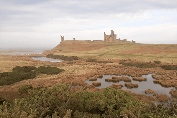 Dunstanburgh Castle, Northumberland (Northumberland and Newcastle Society)