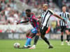 Newcastle United fear late injury blow v Crystal Palace as nine ruled out & two doubtful - gallery