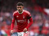 Nottingham Forest dealt major injury concern ahead of Newcastle United clash as summer signing ruled out