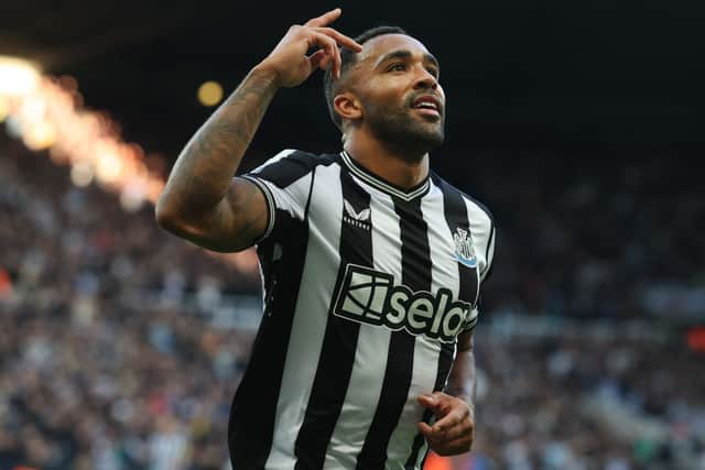 Newcastle United striker Callum Wilson. (Photo by Ian MacNicol/Getty Images)