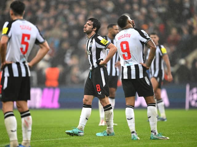 Newcastle are hoping to sign a replacement for Sandro Tonali. (Getty Images)