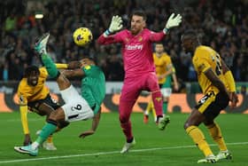 Newcastle United's English striker #09 Callum Wilson (2L) shoots to score the opening goal of the English Premier League football match between Wolverhampton Wanderers and Newcastle United. 