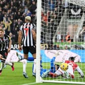 Anthony Gordon of Newcastle United celebrates after scoring the team’s first goal during the Premier League match between Newcastle United and Arsenal FC at St. James Park on November 04, 2023 in Newcastle upon Tyne, England. 