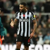 Newcastle United defender Jamaal Lascelles. (Photo by Ian MacNicol/Getty Images)