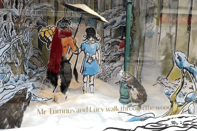 The Window follows the story of Peter, Susan, Edmund and Lucy as they adventure through Narnia. Photo: National World.