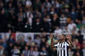 Newcastle United striker Alexander Isak. (Photo by George Wood/Getty Images)