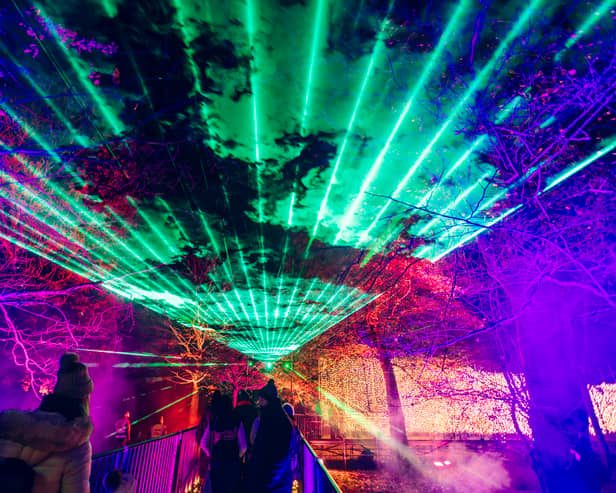 The Laser Garden at Northern Lights.