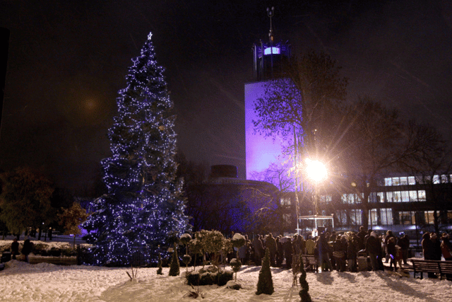 Newcastle's Bergen Christmas tree from previous years. Photo: Newcastle City Council.